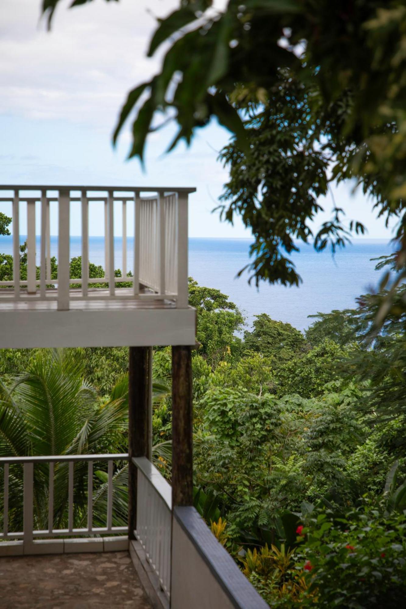 Hotel Lf Jungle Retreat à Drapers Extérieur photo