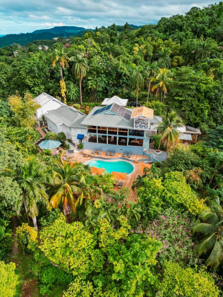 Hotel Lf Jungle Retreat à Drapers Extérieur photo